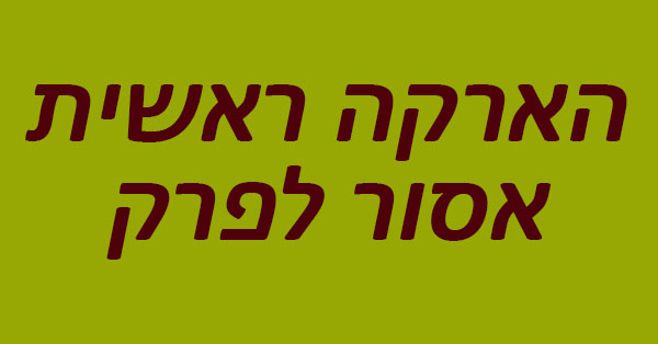 בדיקת הארקה ראשית